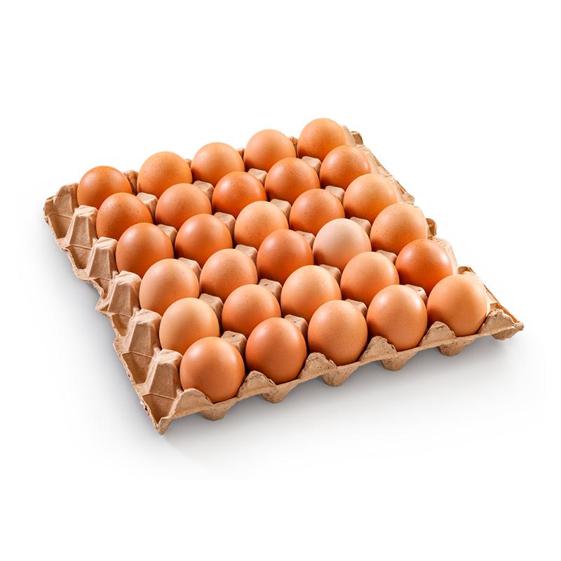 Uova fresche 30pz